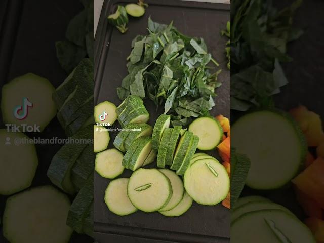 Harvest to Feast | Zucchini Kale Fritata | Farm to Table | #Garden #harvest #vegetarian #cooking