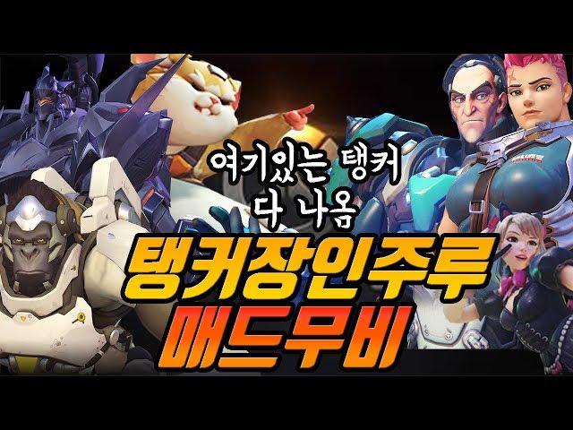 모든 탱커로 랭커를 찍은 탱커장인주루 매드무비 [오버워치]