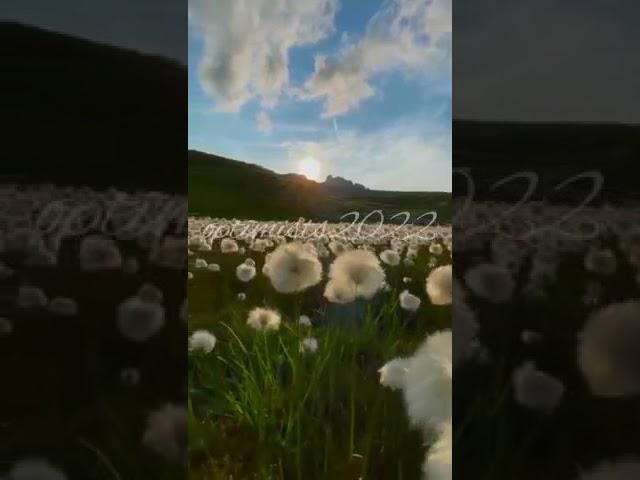 من أراد السعادة في الحياة /سعد العتيق