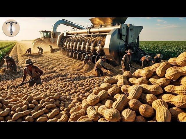 Harvest millions of tons of peanuts to make delicious peanut crumbles and peanut butter!