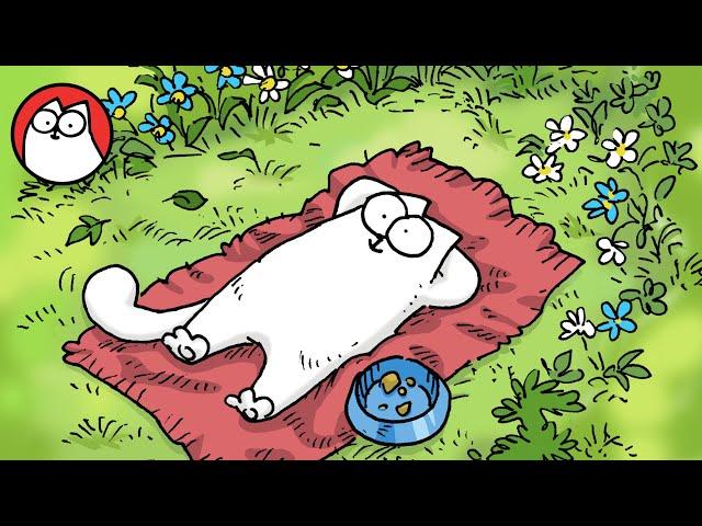 CAT TV - 1 HOUR VIDEO - Relax with Simon's Cat - Nature - Wildlife - Birdsong - Rain Sounds