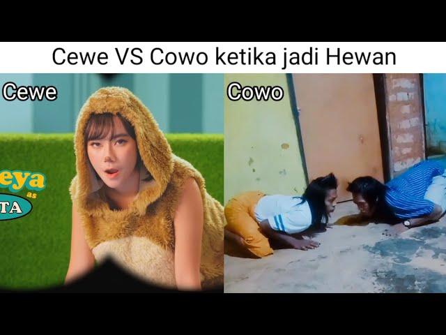 Cewe VS Cowo Ketika Jadi Hewan