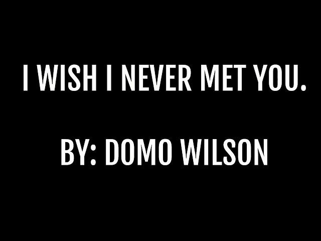 I Wish I Never Met You- By Domo Wilson (LYRIC VIDEO)