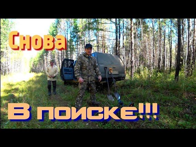 ЗАЕХАЛИ в Лес!!! И понеслось!!! МЕТАЛЛ ещё есть!!!!!