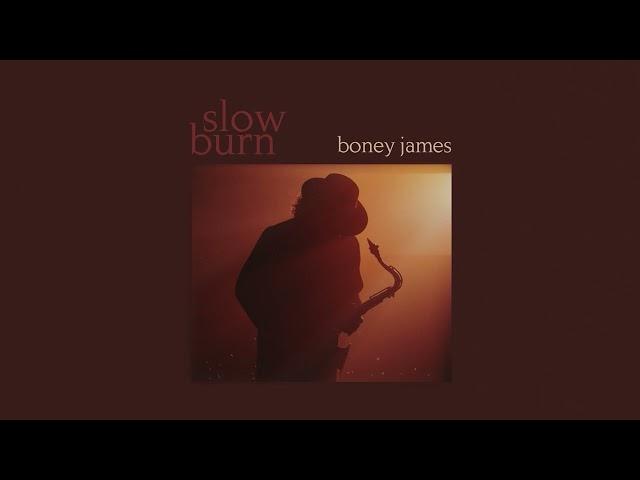 Boney James - All I Want Is You (Instrumental) [Official Audio]