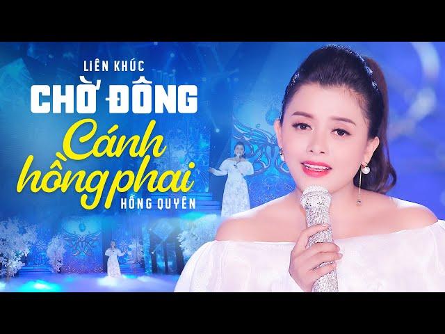 LK Chờ Đông, Cánh Hồng Phai - Bolero Nhạc Tình Hay Thần Sầu - Giọng Ca Vàng Hồng Quyên