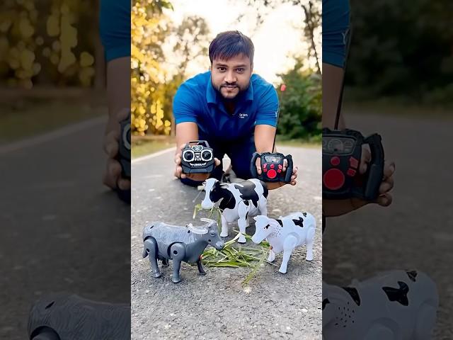 New Remote Control BUFFALOand RC COWunboxing