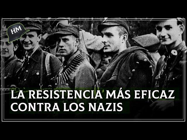 Así fue la MAYOR RESISTENCIA ALIADA que se enfrentó al nazismo I Armia Krajowa