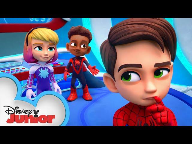 Meet Spidey and his Amazing Friends Short #11 | WEB-STER | @disneyjunior  @MarvelHQ​