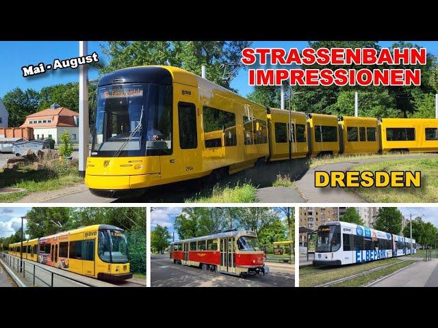 Straßenbahn Dresden | Straßenbahn Impressionen - Mai - Aug 2024