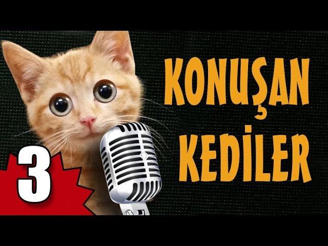 Konuşan Kediler 3 - En Komik Kedi Videoları