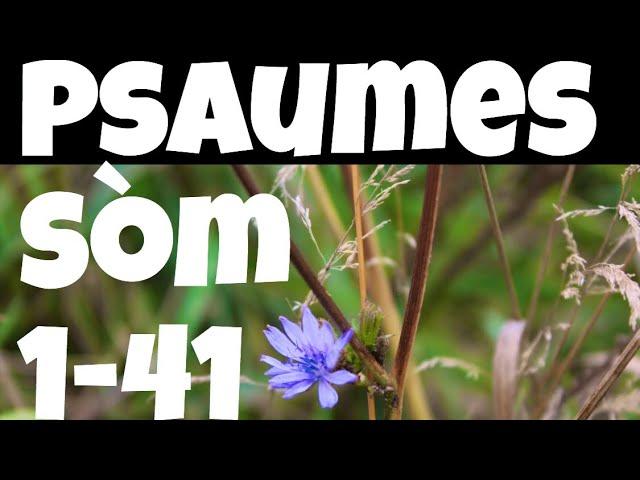 Sòm-Psaumes 1-41 Versyon Kreyol