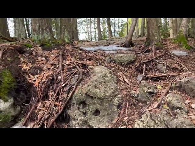 Lion’s Head Provincial Park Nature Reserve