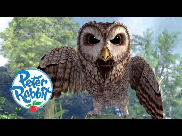 @OfficialPeterRabbit - Danger on Owl Island | Cartoons for Kids