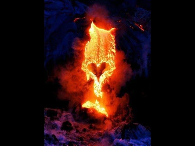 Sacred Phoenix Heart (Rumi Oracle)