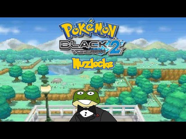 Pokemon Black 2 Nuzlocke - TheBigSal