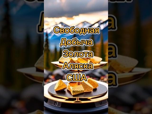 Свободная Добыча Золота на Аляске. #сша #alaska #золото #серебро #слиток