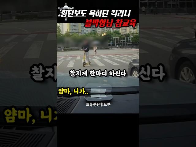 횡단보도 욕설 킥라니 블박형님 참교육