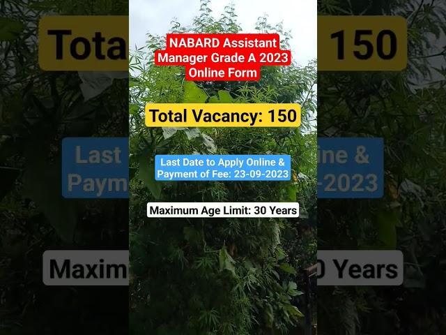 NABARD Assistant Manager Grade A Recruitment 2023 |  Apply Online for 150 Posts | #govtjobs