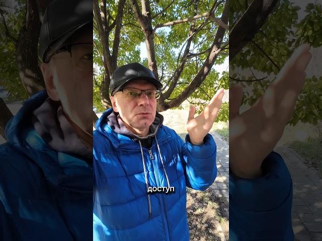 Как правильно обращаться к подсознанию? #подсознание #подсознаниеможетвсе