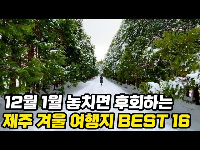 12월 1월 2월 겨울 제주도여행 1박2일 2박3일 코스 BEST 16 | 꼭 가봐야 하는 제주 동쪽 서쪽 서귀포 코스