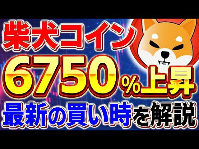 【柴犬コイン(SHIB)】イーロンマスクの発言で柴犬コインが高騰間近!?ミームコインバブルに向けて最新の買い時を解説！【仮想通貨】【DOGE(ドージ)】