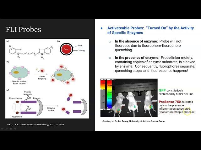 Optical Imaging Webinar: Scientific Principals and Applications