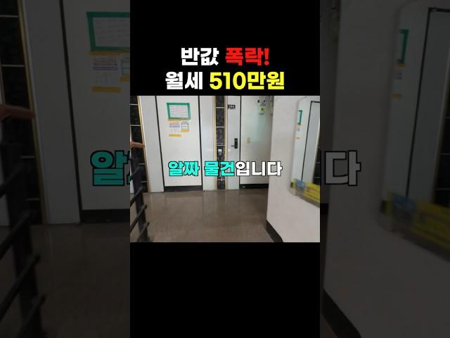 반값 폭락은 기본 월세 510만원까지 #경매투자 #부동산 #경매컨설팅 #경매 #부동산