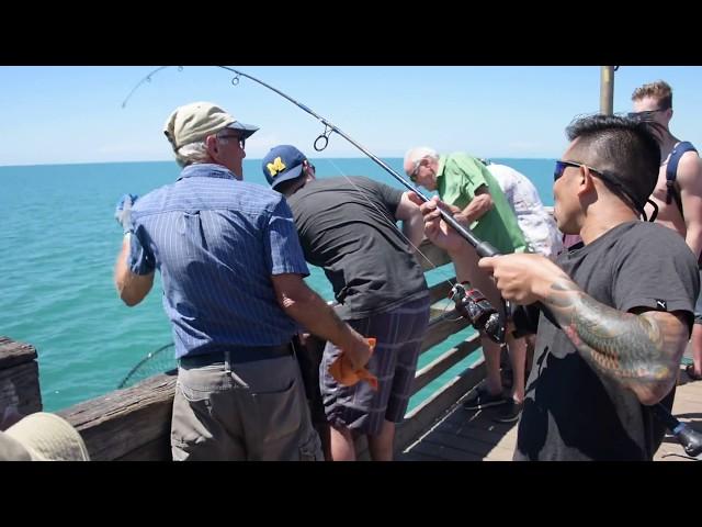 Sharkys fishing pier Venice fl