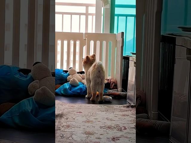 무더위가 기승을 부리는 이때 냉수 한 컵과 바람이여 내게로 오라