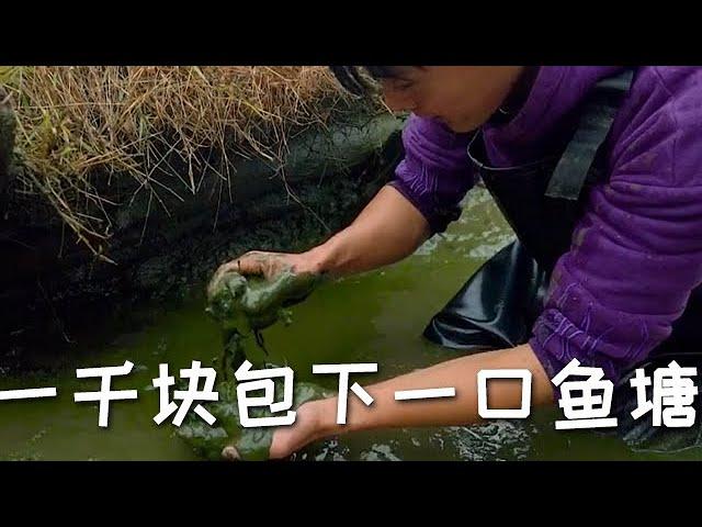 【戶外捕魚vlog】花一千塊包下一口魚塘，帶表妹去幹塘抓魚，沒想到裏面居然有…#三農 #抓魚