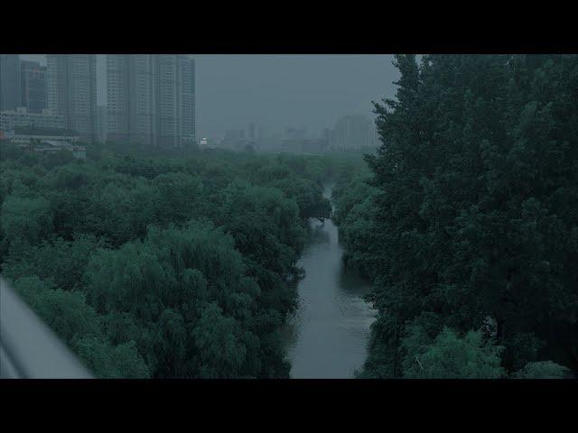 4K SEOUL WALK - Heavy rain & Amazon in Seoul.  Ambience sounds Rain Relax Sleep Cinematic