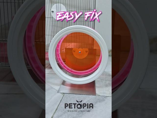 [DEMO] Sugar Glider Running Wheel Easy Fix from Taiwan | PETOPIA Pet Products