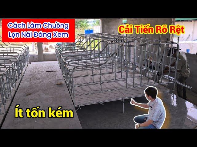 Cách Làm Chuồng Lợn(Heo) Nái Mới Nhất | Khởi Nghiệp TV