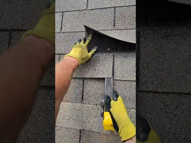 Brett Lewis 2 failed repairs