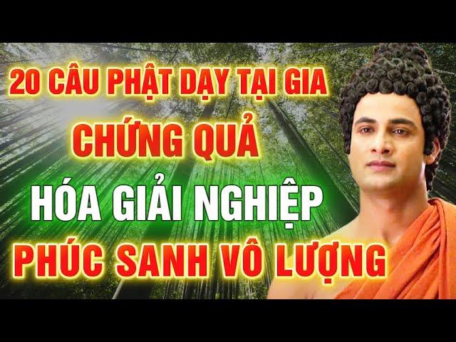 TU TẠI GIA PHẢI NGHE : 20 LỜI PHẬT DẠY GIÚP CHUYỂN NGHIỆP, CHỨNG QUẢ, HÓA GIẢI KHỔ ĐAU