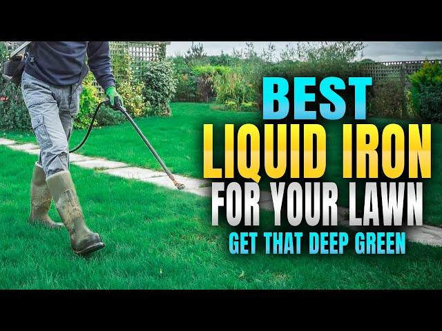 Best Liquid Iron For Your Lawn: Get That Deep Green