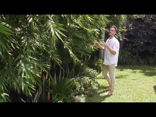 DULWICH HILL Landscape Design Project | Adam Robinson Design
