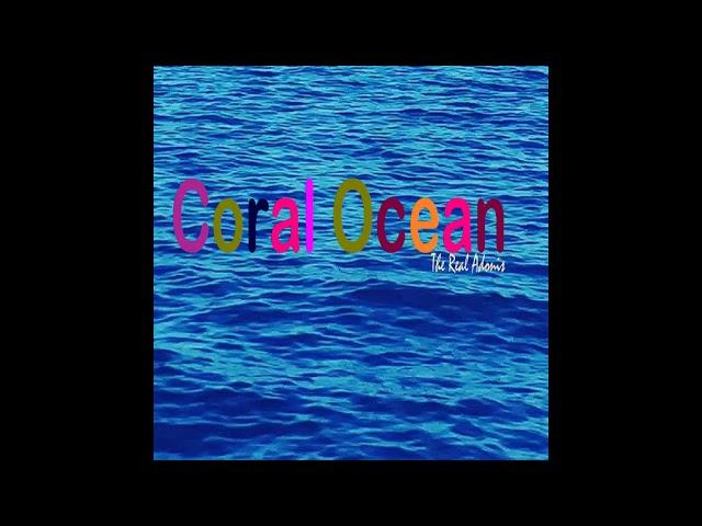 Sword Fish Symphony   Coral Ocean The Real Adonis