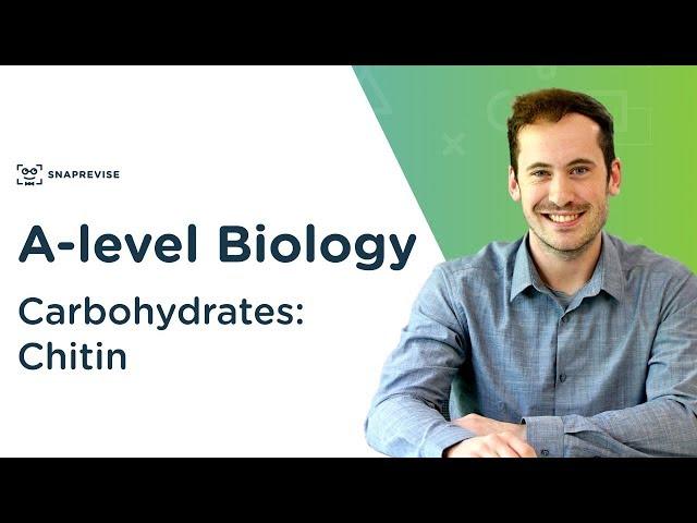 Carbohydrates: Chitin | A-level Biology | OCR, AQA, Edexcel