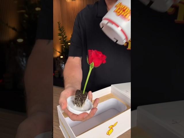 James Loud Behind the Scenes