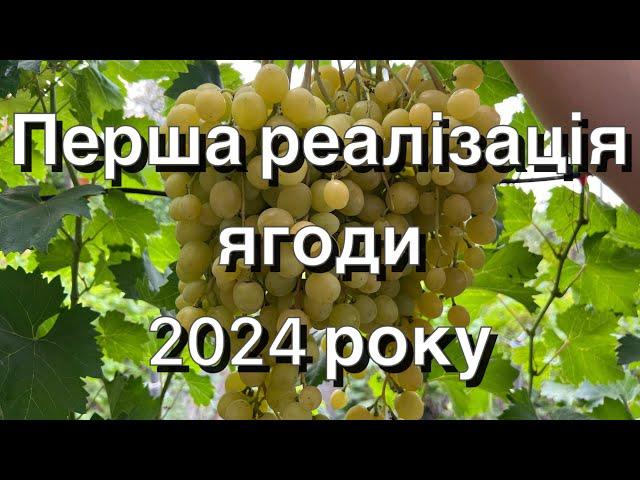 Перша реалізація ягоди 2024 року