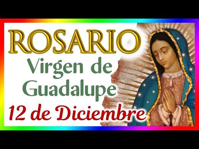 Santo Rosario a la Virgen de Guadalupe en su día, Jueves 12 de Diciembre de 2024El Mundo de MyG