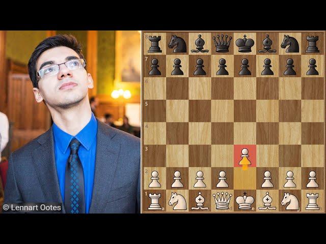 Magnus Afraid of Anish's Najdorf? || Carlsen vs Giri || Opera (2021)