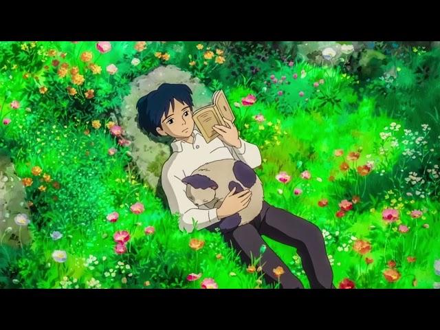 Studio Ghibli Music Box Playlist for relax, sleep, study (No Ads)