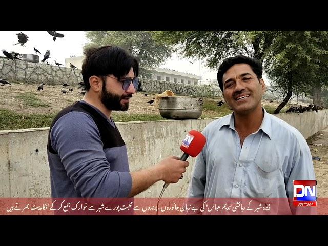 A person | love Birds and Animals |  give food daily | dera ismail khan