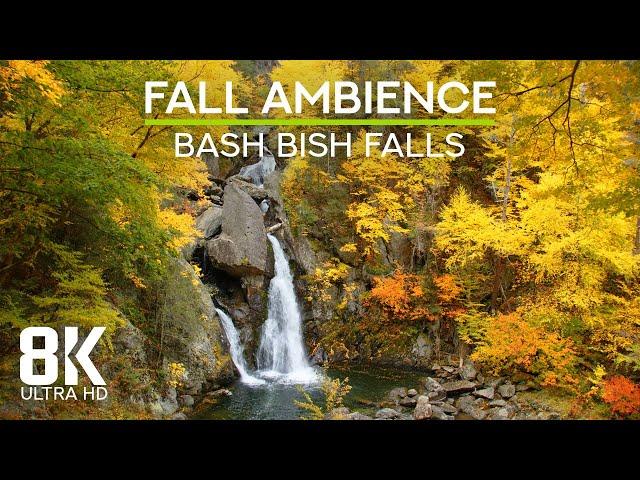 8K Fall Ambience - Relaxing Sounds of Flowing River and Waterfall for Sleep - Bash Bish Falls, NY