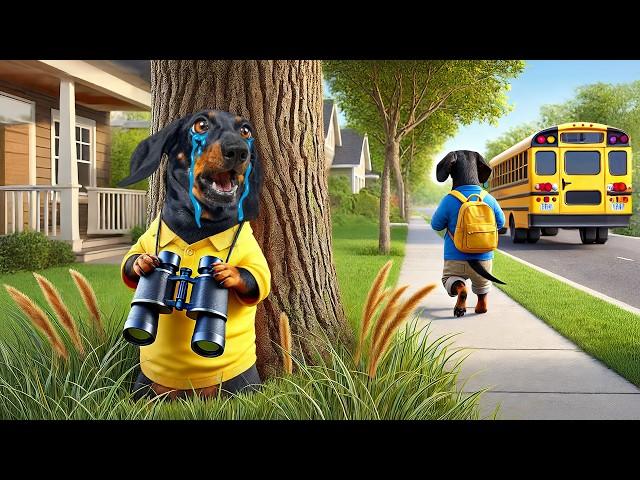 Puppy's First Day at School: Will He Face Bullies?