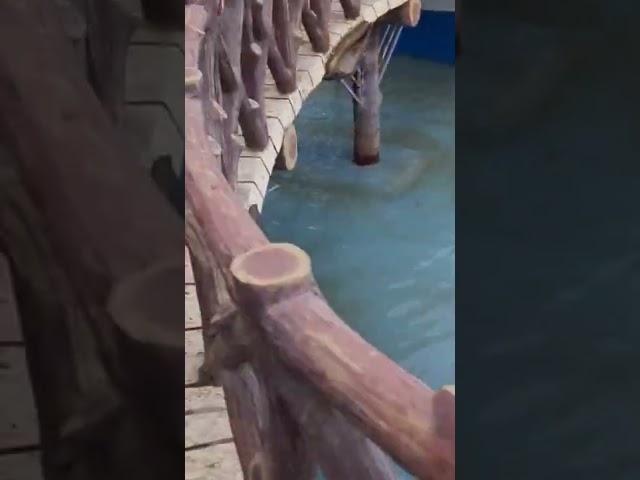 #vairalvideo #viralshorts #masti #water #waterpark #waterfall #pinkpearl #shorts