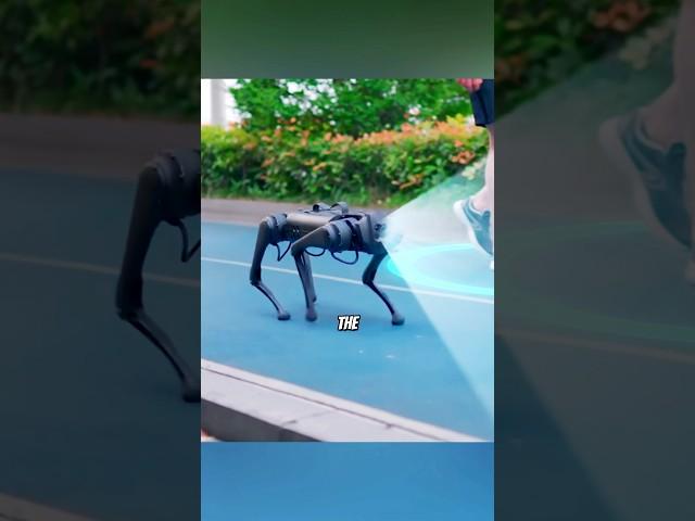 The Robot That You Can Pet